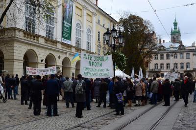 Прикрепленное изображение: DSC_0242_.jpg